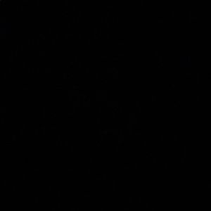 Meet your Posher, Zoua